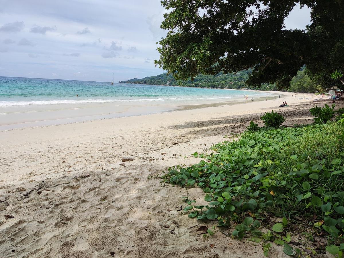 Riverside Mount Simpson - Seychelles Island Beau Vallon  Esterno foto